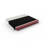 PATCHBOX.ONE Sestava Cat.6a STP, vč. 24 kazet s kabely 0.8m, červená, 8RU PATCHBOX.ONE Sestava Cat.6a STP, vč. 24 kazet s kabely 0.8m, červená, 8RU